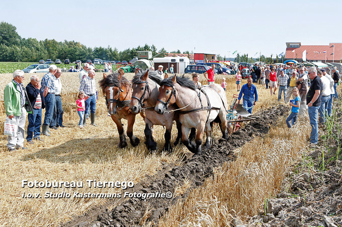 STE 170813 BOERENLANDDAG2